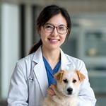 Dr. Amelia Chen, DVM, PupGear Premium's veterinary consultant, holding a happy chihuahua