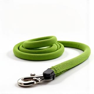 Ergonomic padded handle dog leash in green